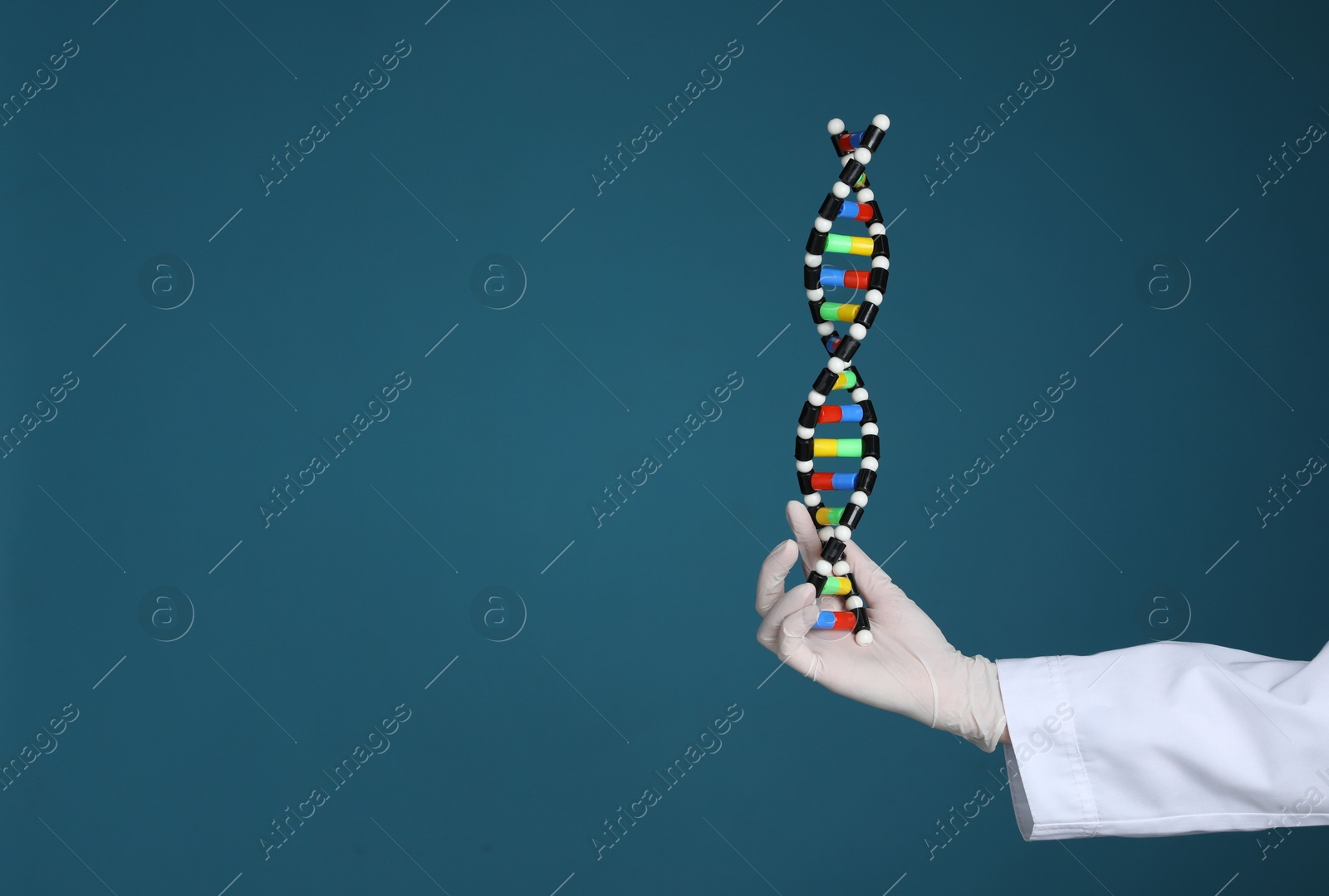 Photo of Scientist holding DNA structure model on dark blue background, closeup. Space for text