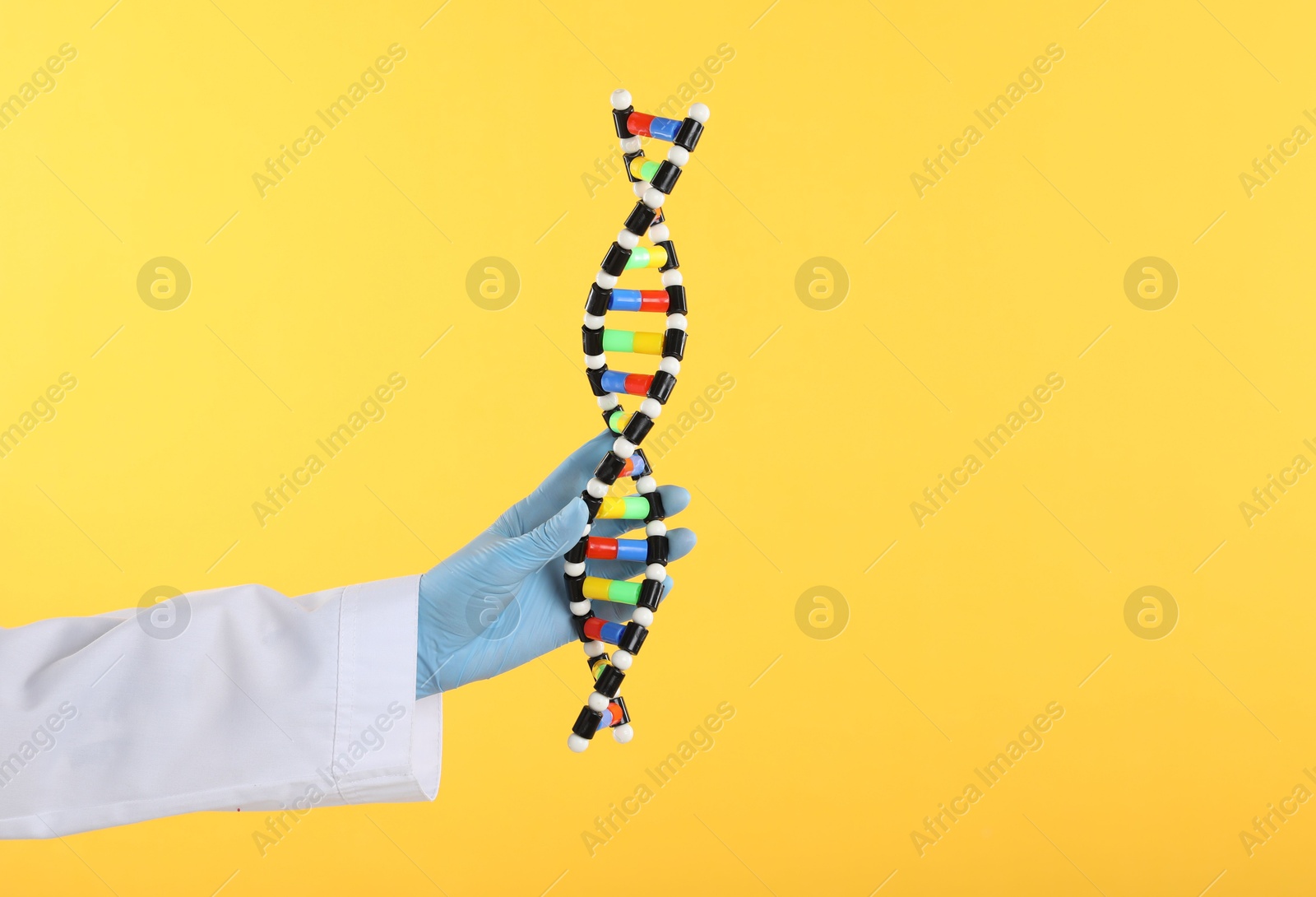 Photo of Scientist holding DNA structure model on yellow background, closeup