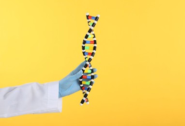 Photo of Scientist holding DNA structure model on yellow background, closeup