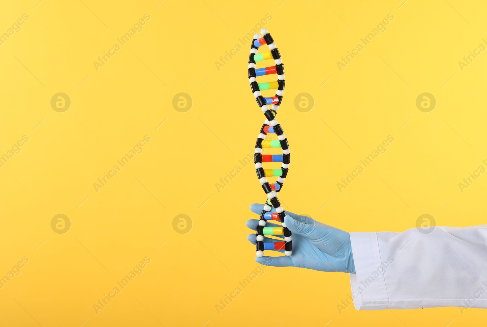 Photo of Scientist holding DNA structure model on yellow background, closeup. Space for text