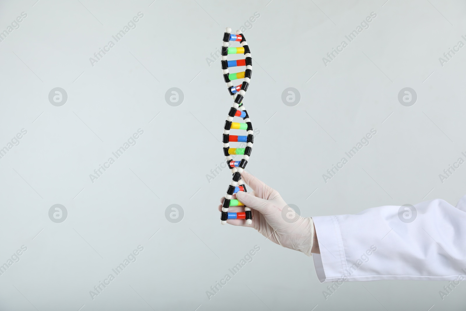 Photo of Scientist holding DNA structure model on white background, closeup