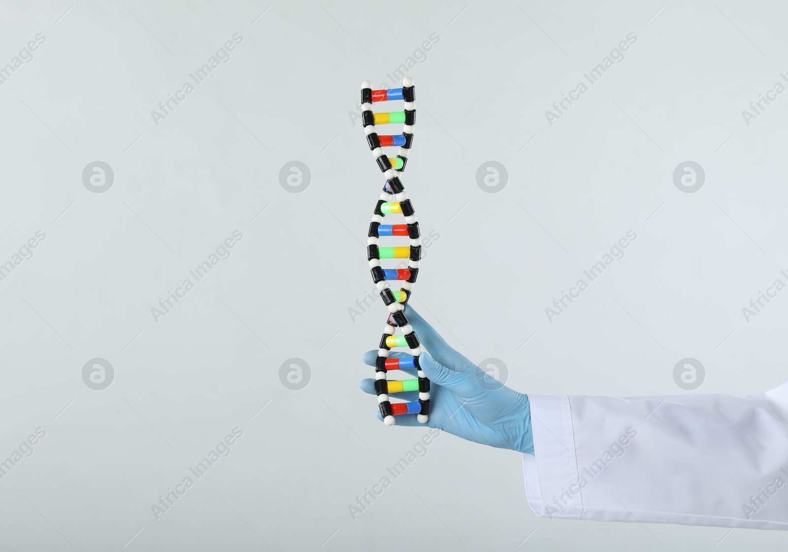 Photo of Scientist holding DNA structure model on white background, closeup