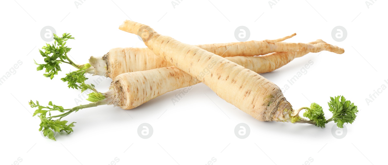 Photo of Three fresh parsley roots isolated on white