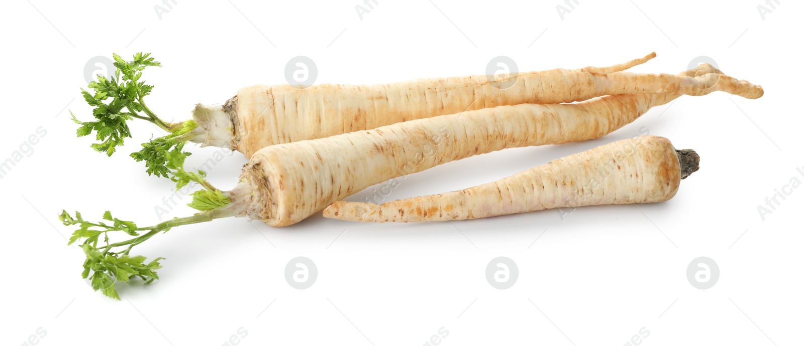 Photo of Three fresh parsley roots isolated on white