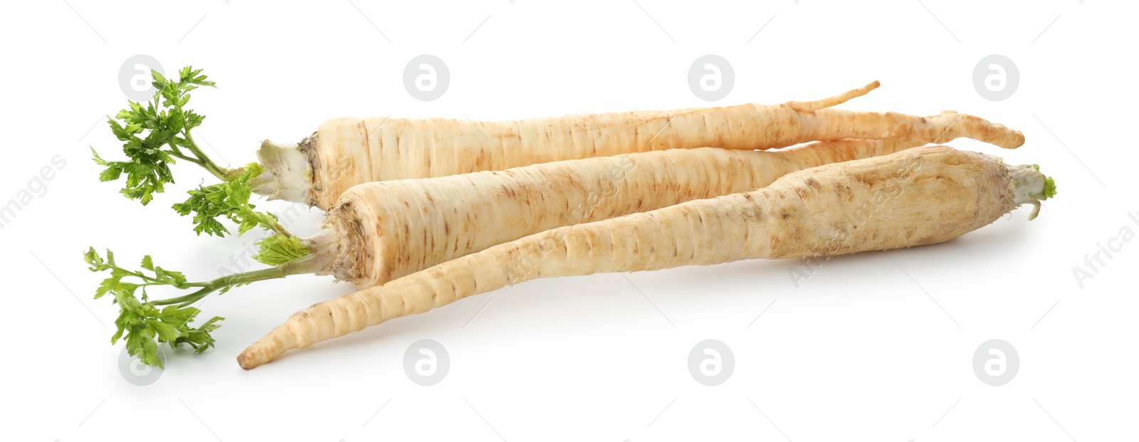 Photo of Three fresh parsley roots isolated on white