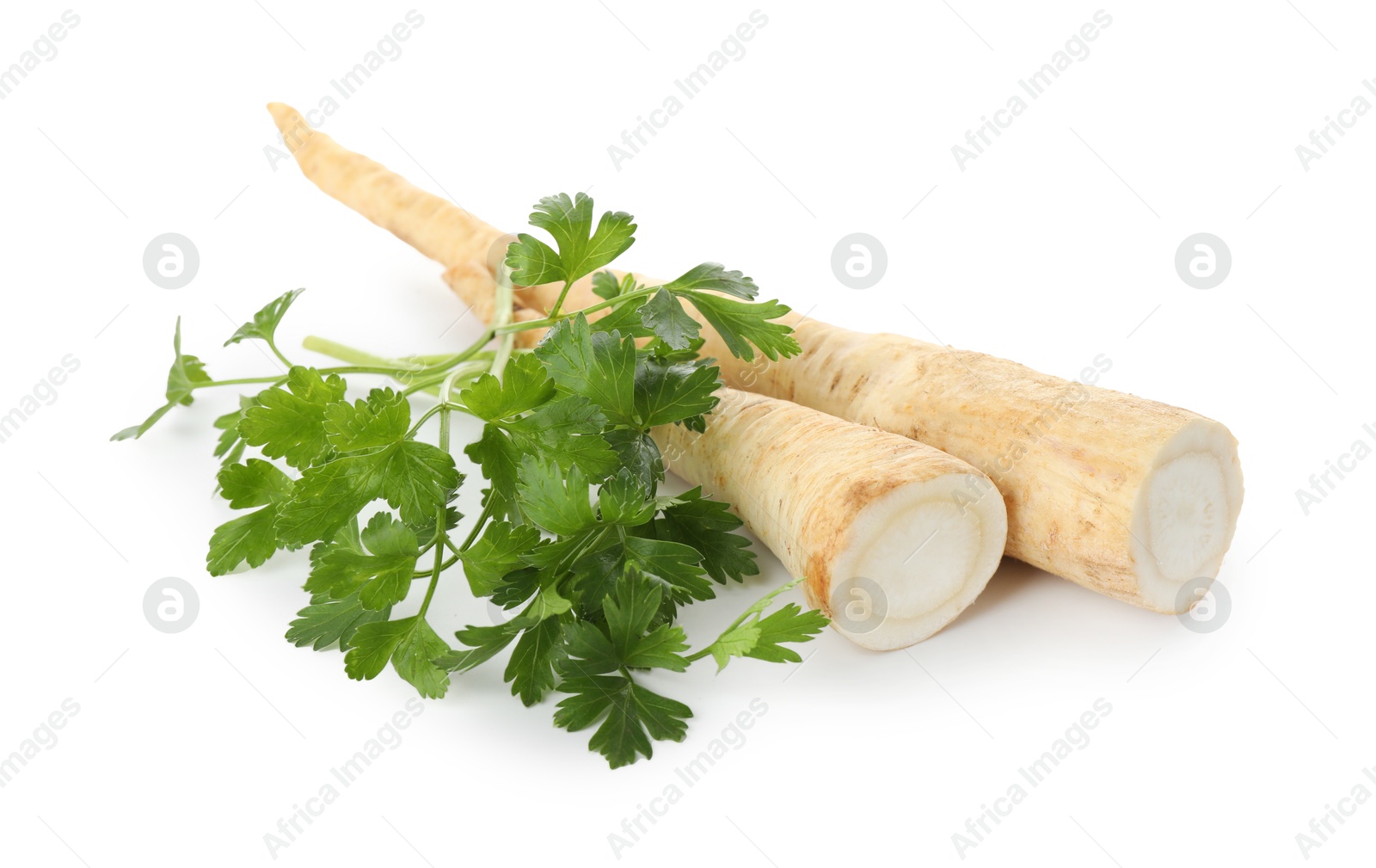 Photo of Fresh parsley and roots isolated on white