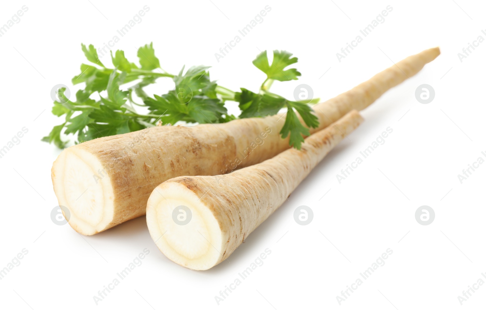 Photo of Fresh parsley and roots isolated on white