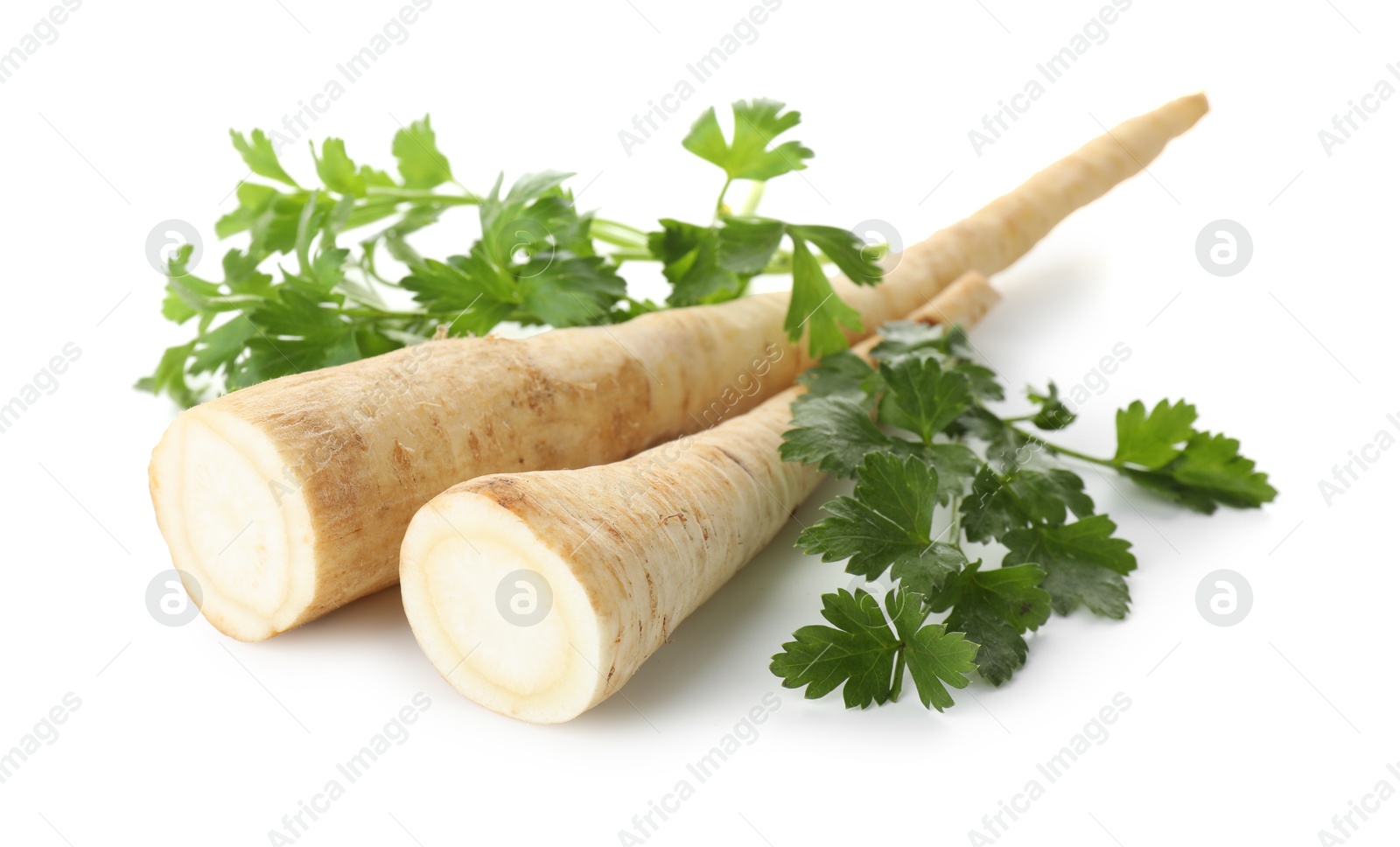 Photo of Fresh parsley and roots isolated on white