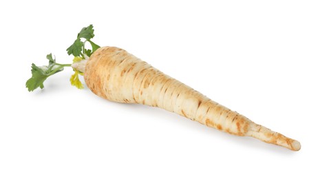 Photo of One fresh parsley root isolated on white