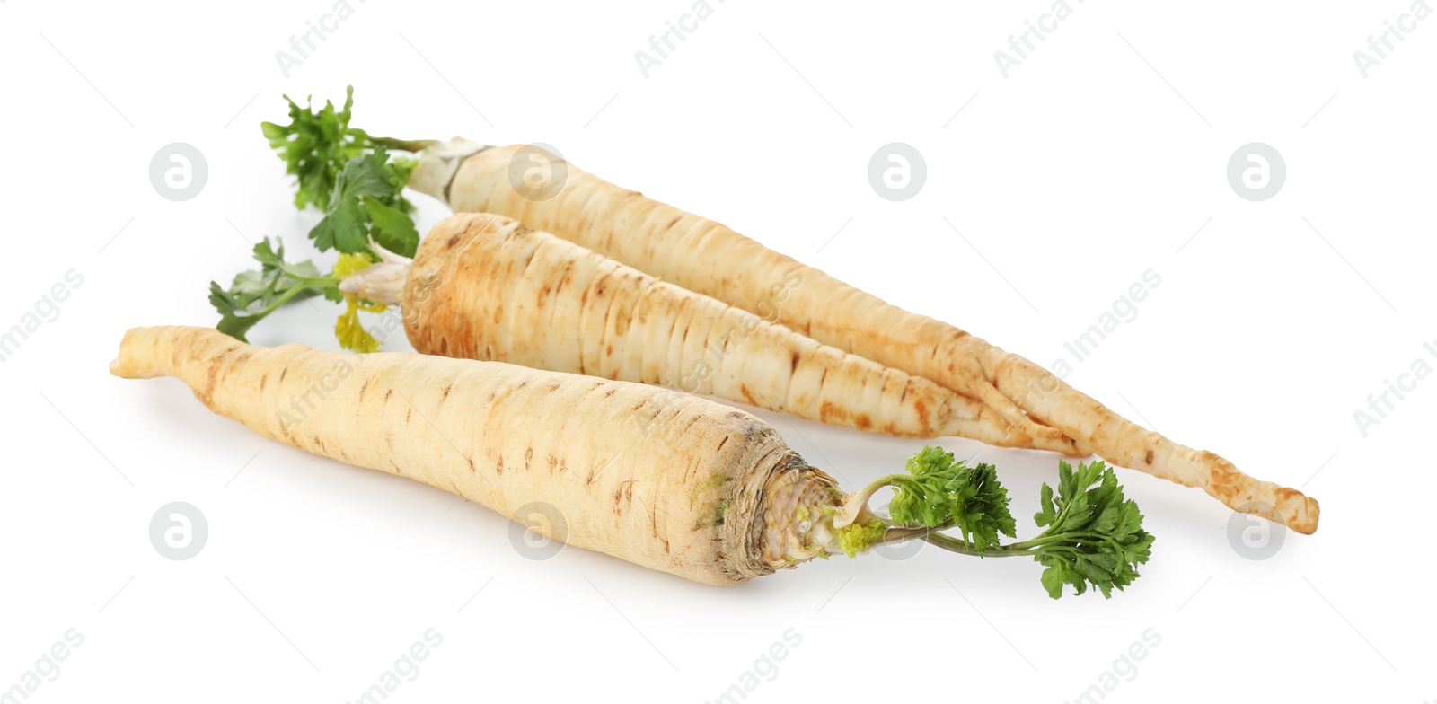 Photo of Three fresh parsley roots isolated on white