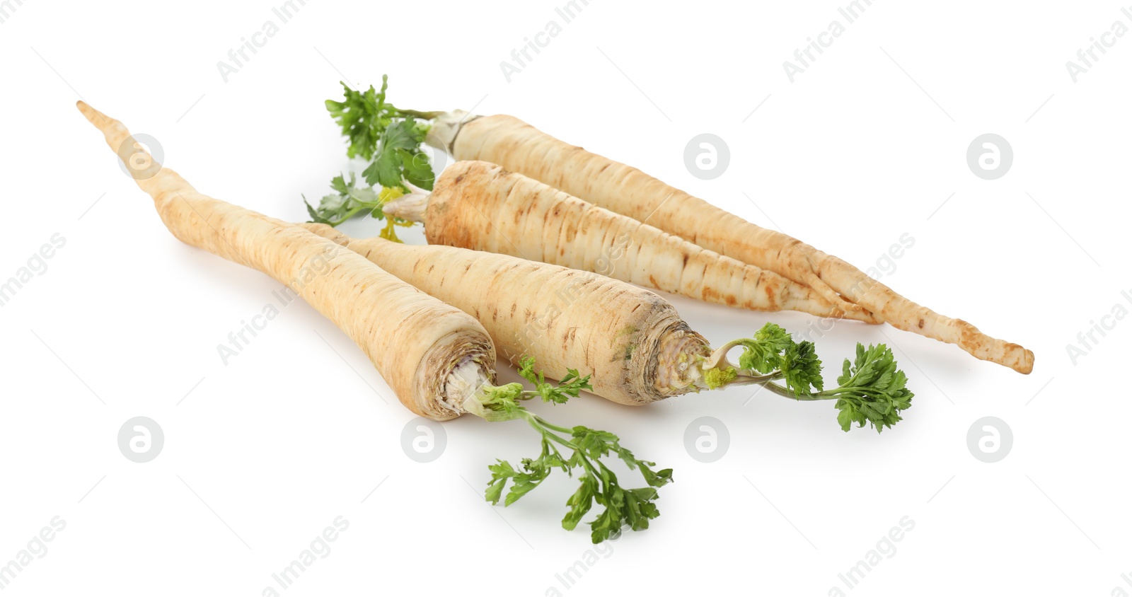 Photo of Many fresh parsley roots isolated on white