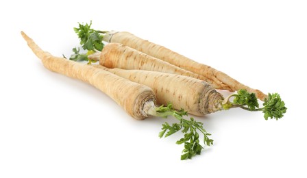 Photo of Many fresh parsley roots isolated on white