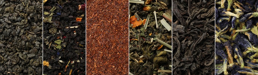 Image of Dried leaves of different types of tea, collage