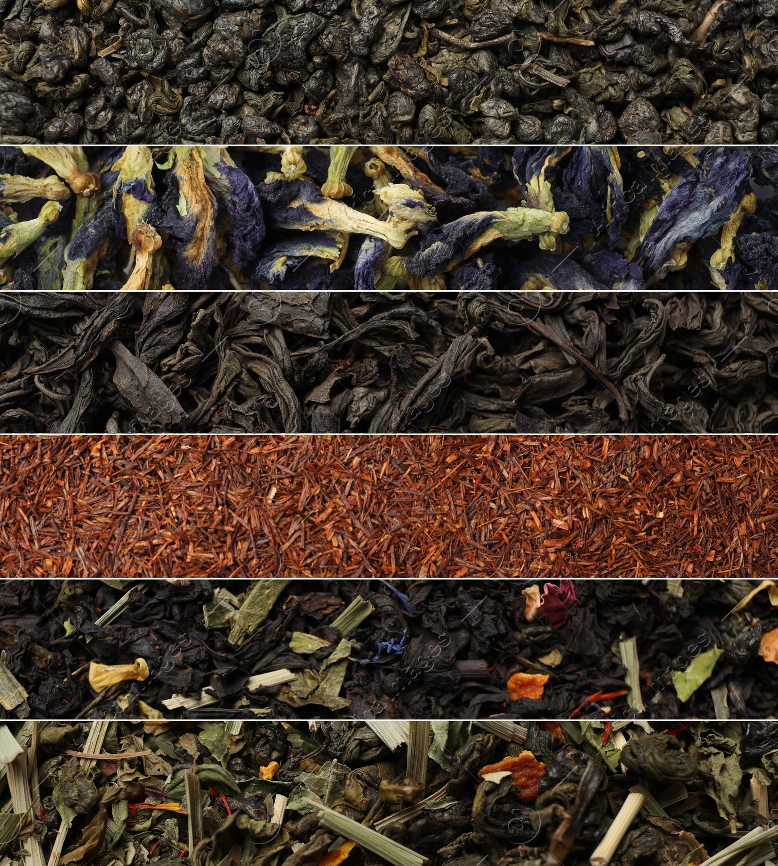 Image of Dried leaves of different types of tea, collage