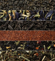 Image of Dried leaves of different types of tea, collage