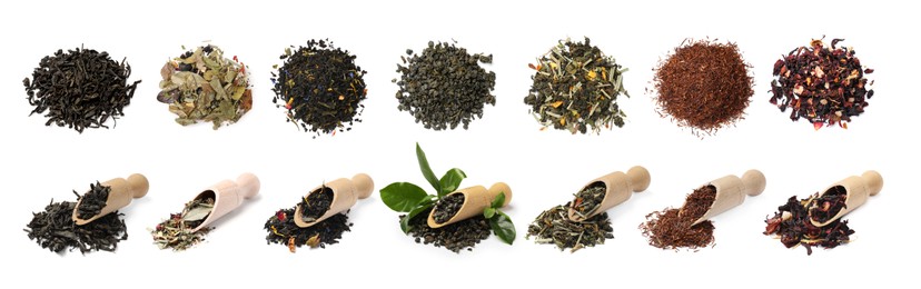 Image of Dried leaves of different types of tea on white background, set