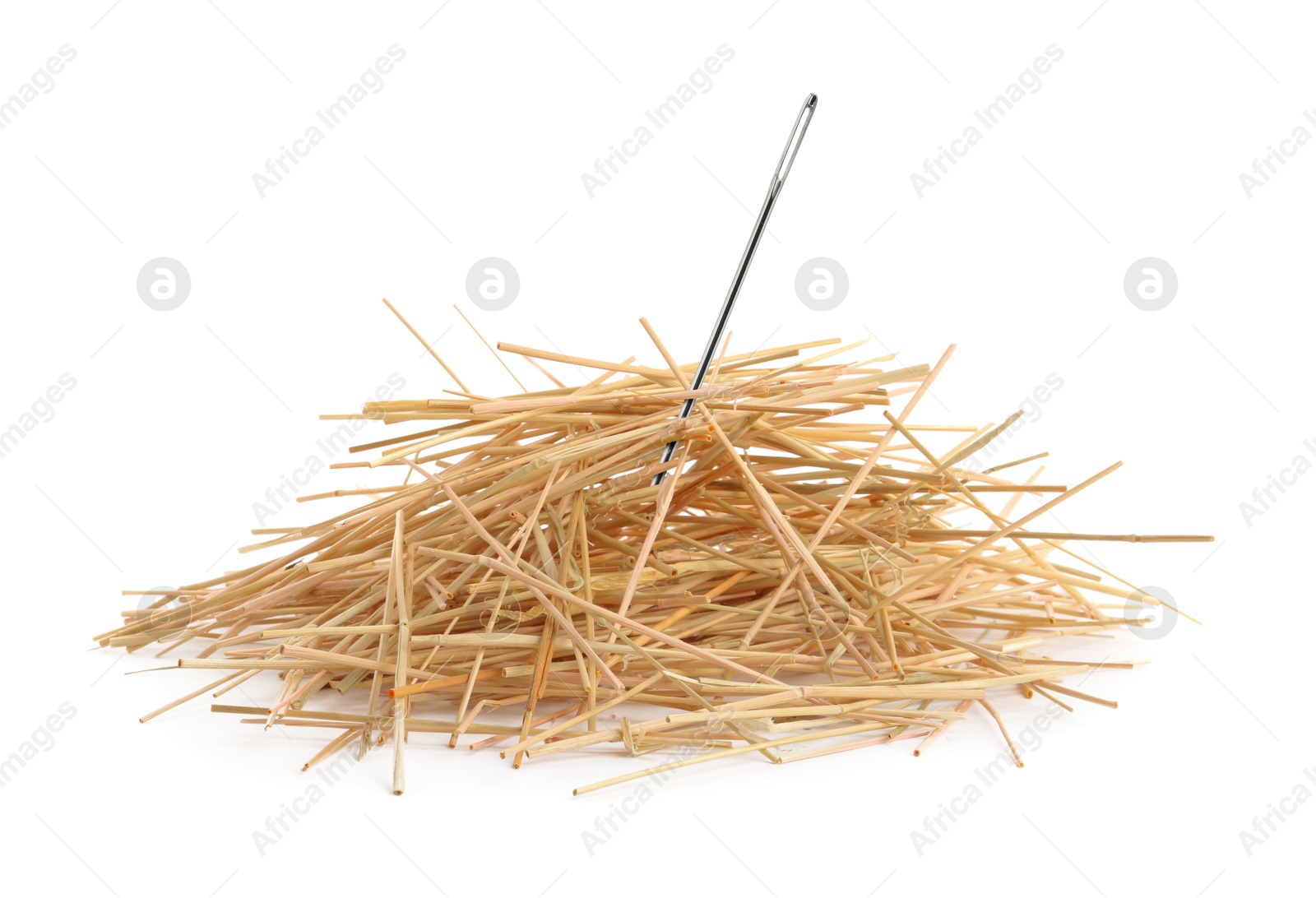 Image of Sewing needle in hay on white background