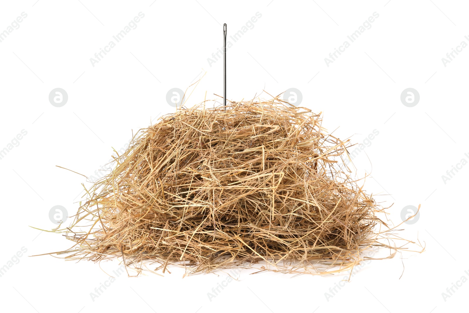 Image of Sewing needle in hay on white background