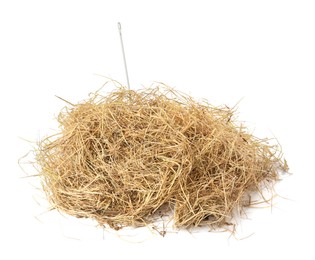 Image of Sewing needle in hay on white background