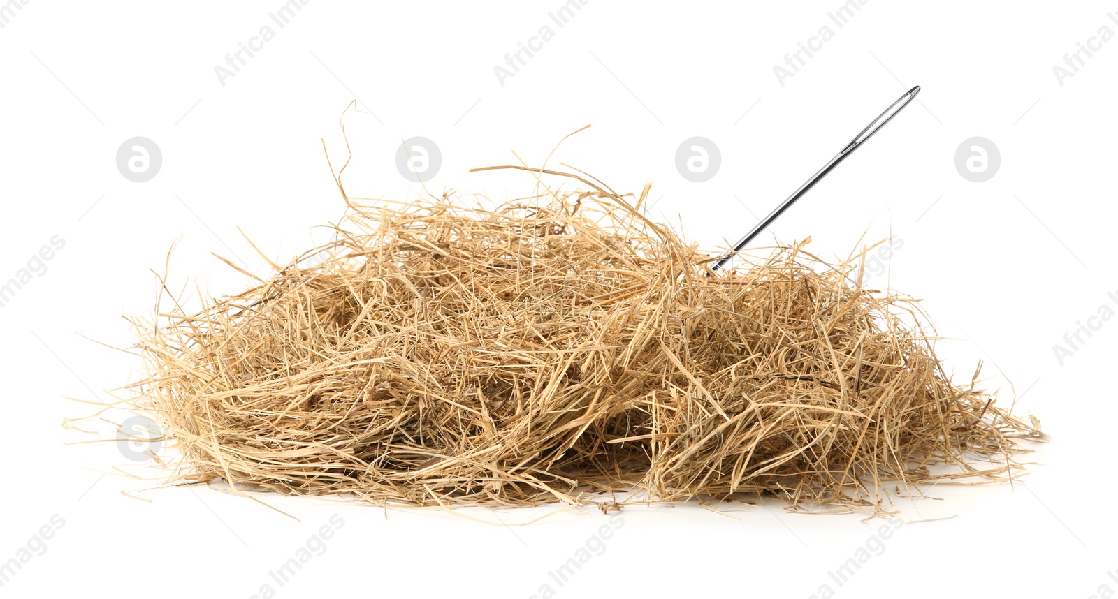 Image of Sewing needle in hay on white background