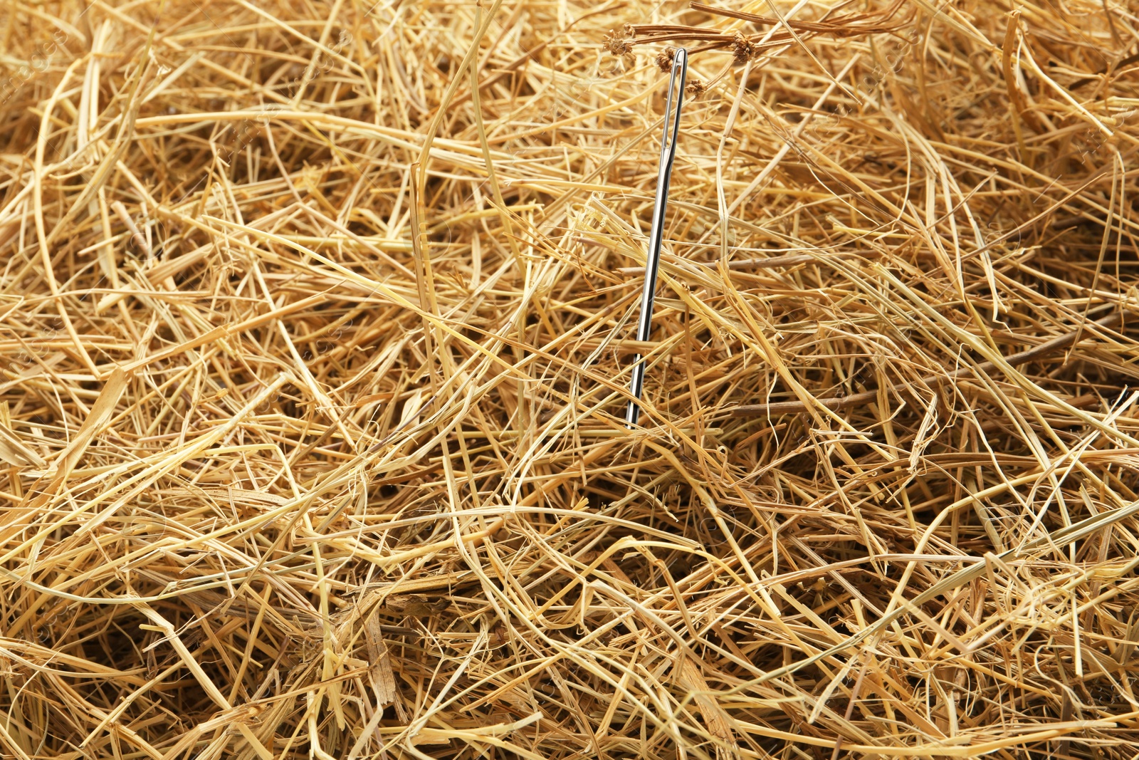 Image of Sewing needle sticking from haystack, closeup view