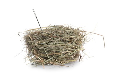 Image of Sewing needle in hay on white background