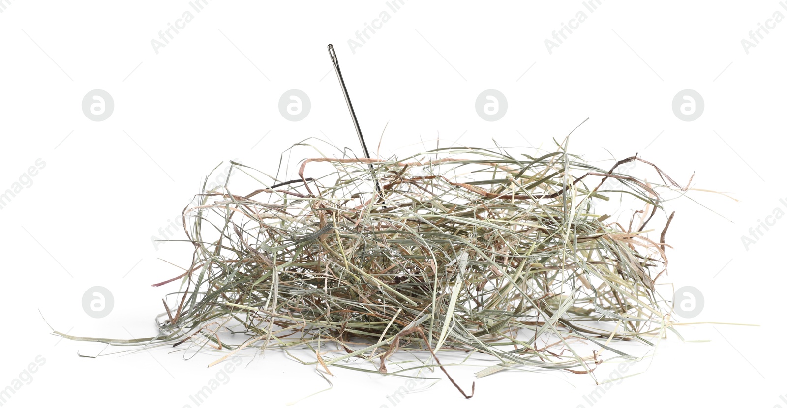 Image of Sewing needle in hay on white background