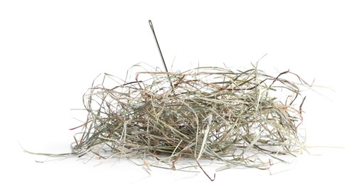 Image of Sewing needle in hay on white background