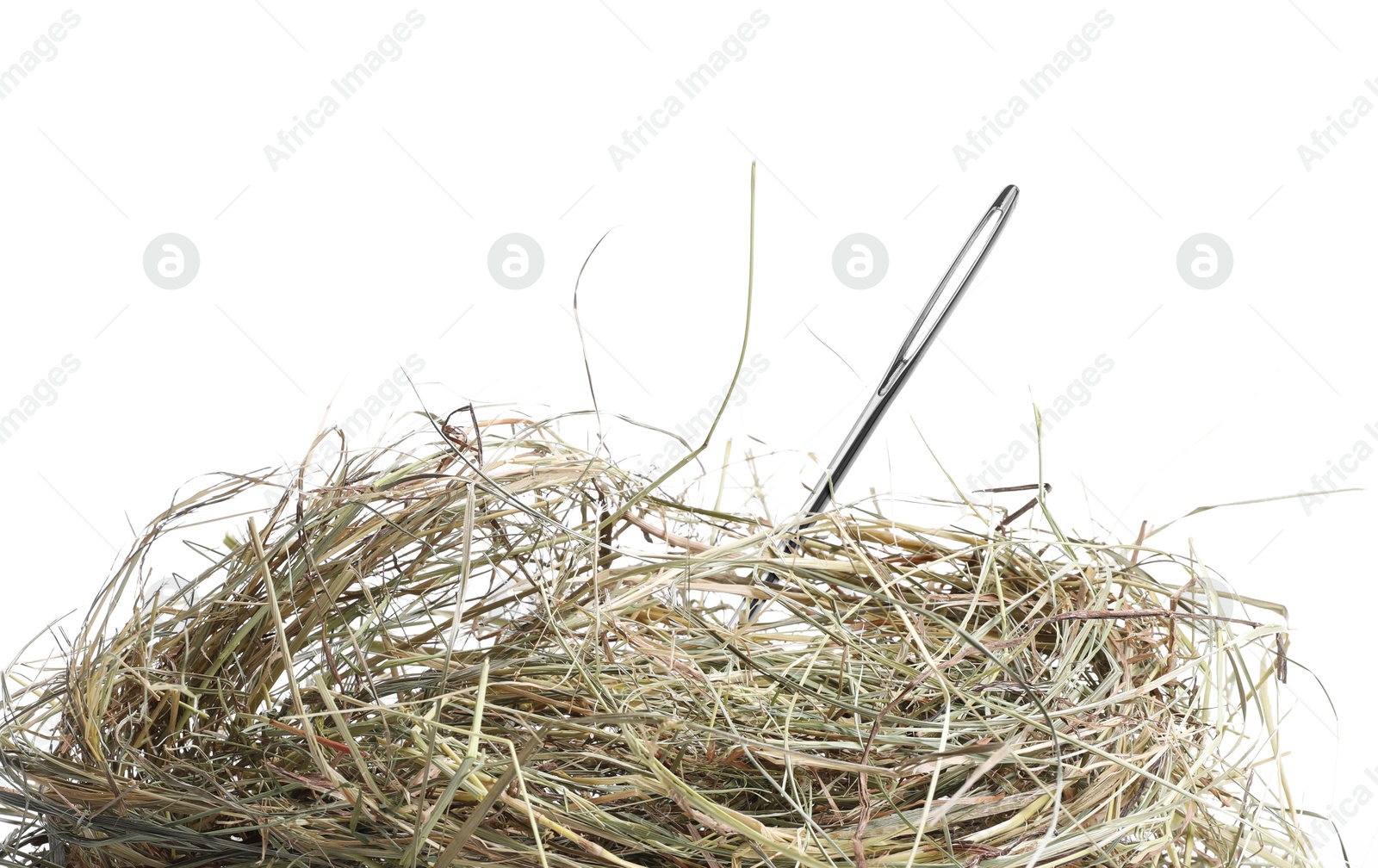 Image of Sewing needle in hay on white background