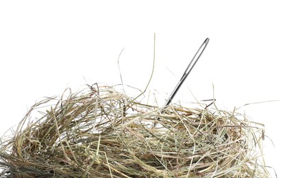 Image of Sewing needle in hay on white background