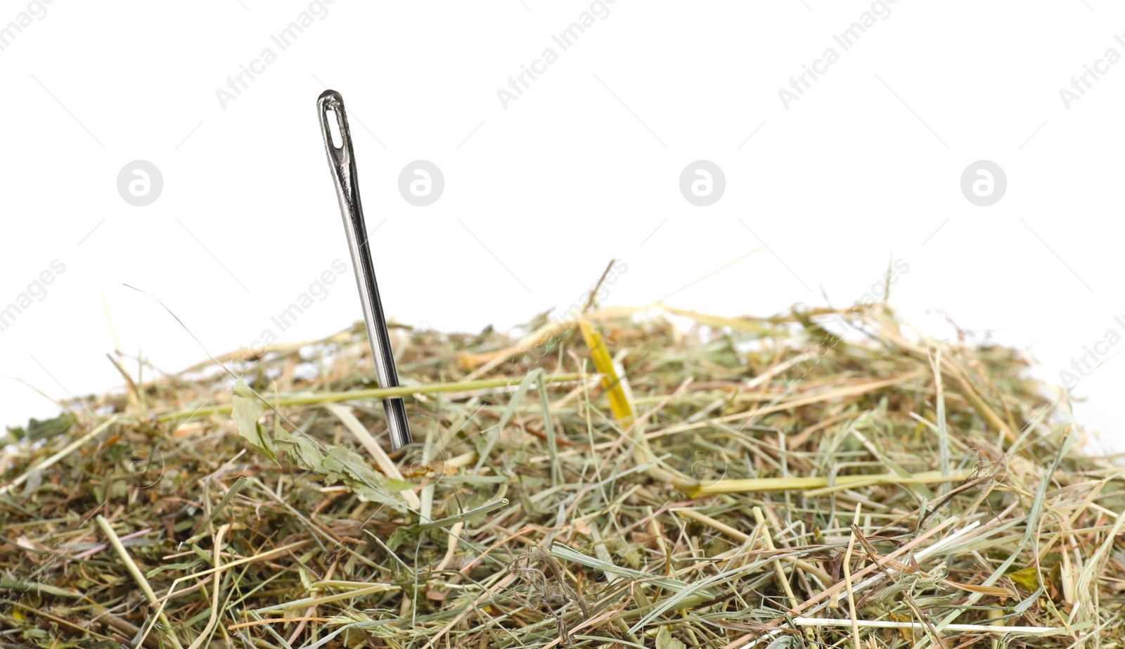 Image of Sewing needle in haystack on white background