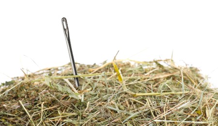 Sewing needle in haystack on white background