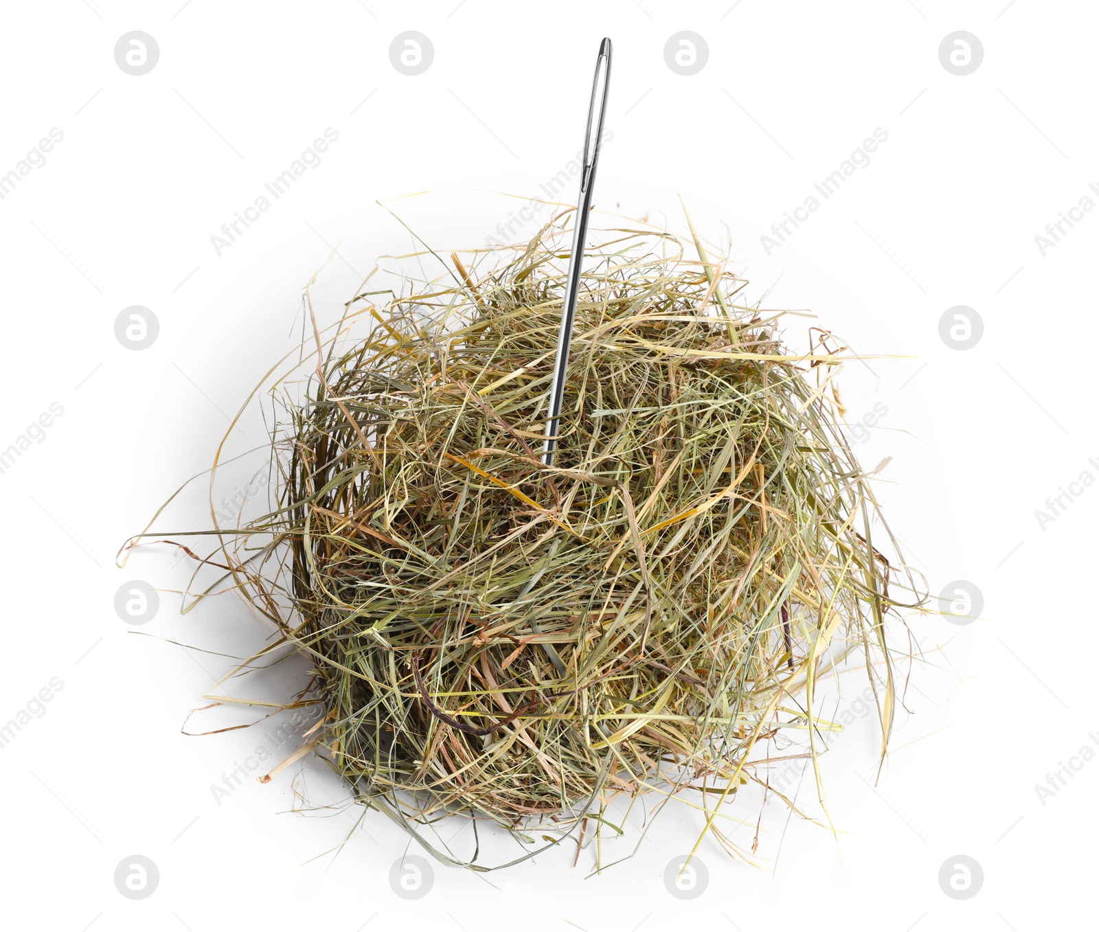 Image of Sewing needle in hay on white background