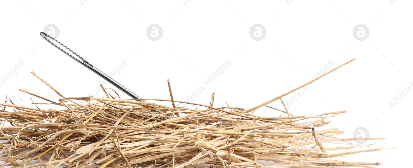 Image of Sewing needle in haystack on white background