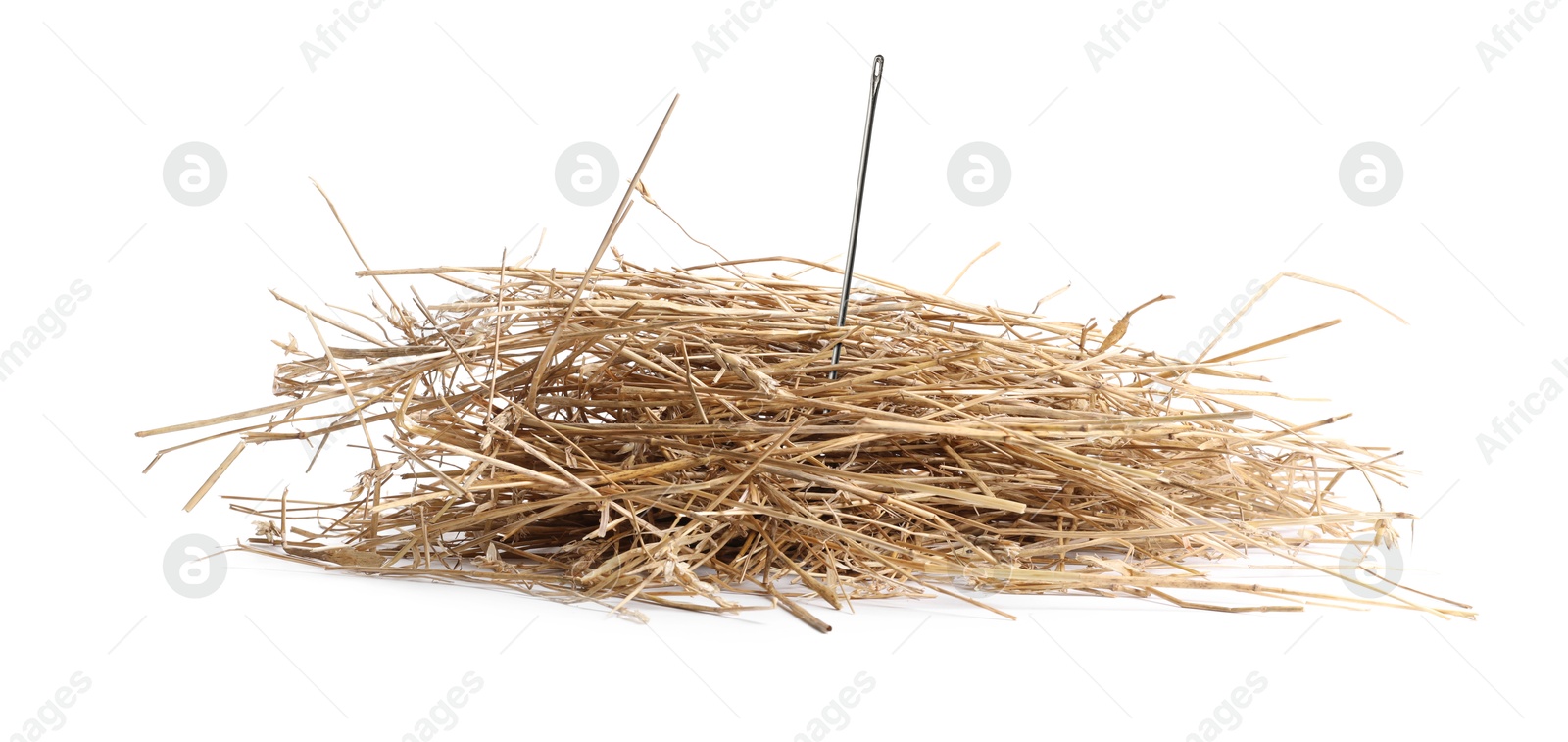 Image of Sewing needle in hay on white background