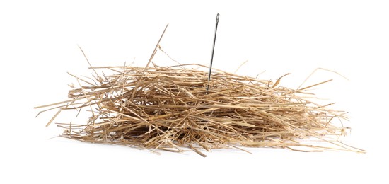 Image of Sewing needle in hay on white background