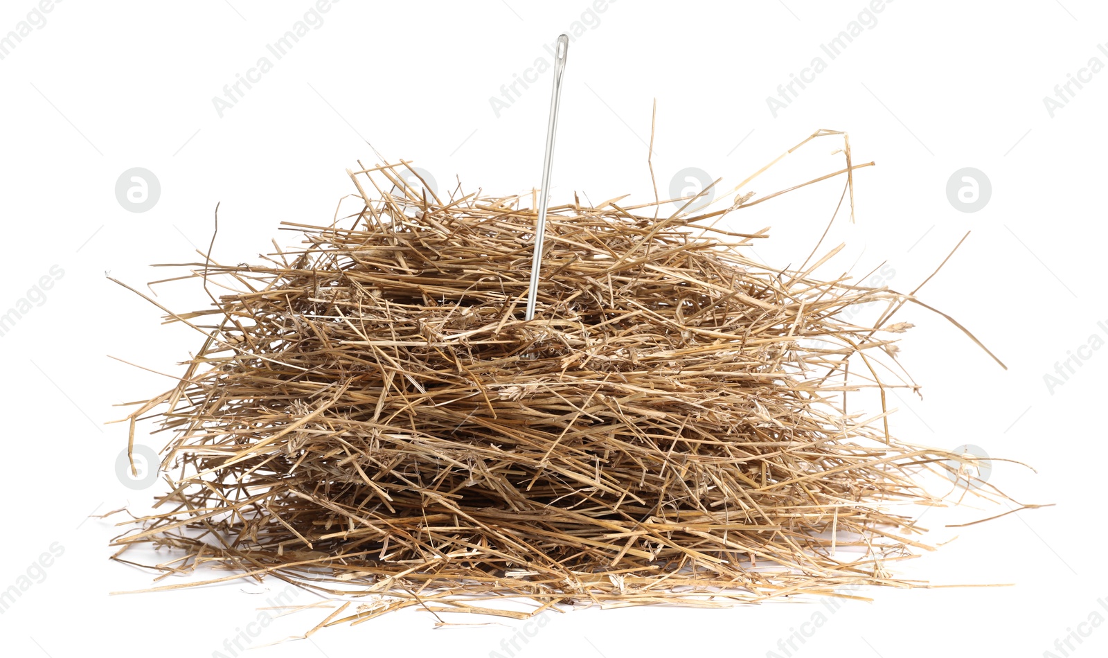 Image of Sewing needle in hay on white background