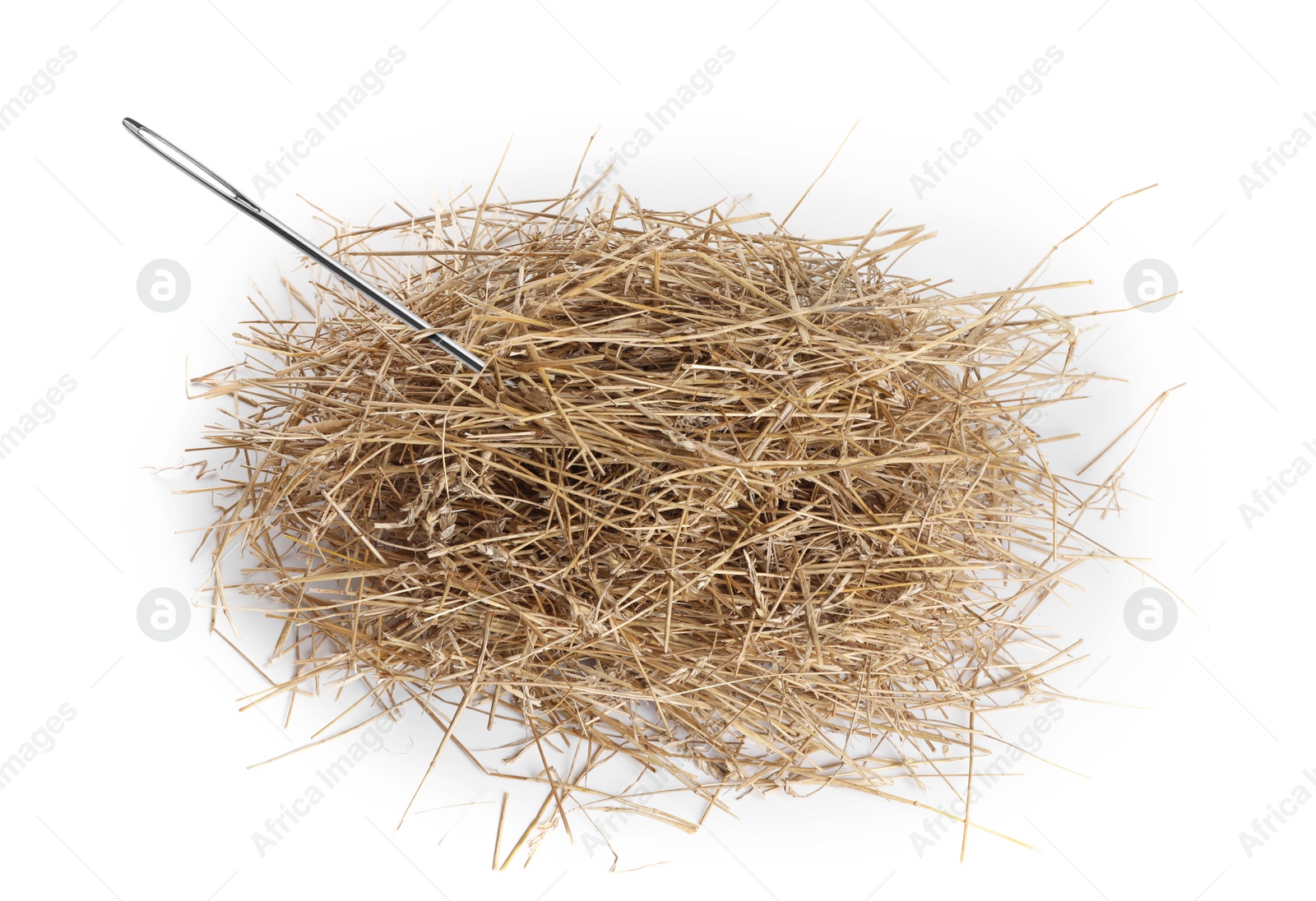 Image of Sewing needle in hay on white background