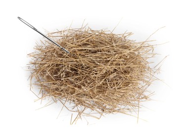 Image of Sewing needle in hay on white background