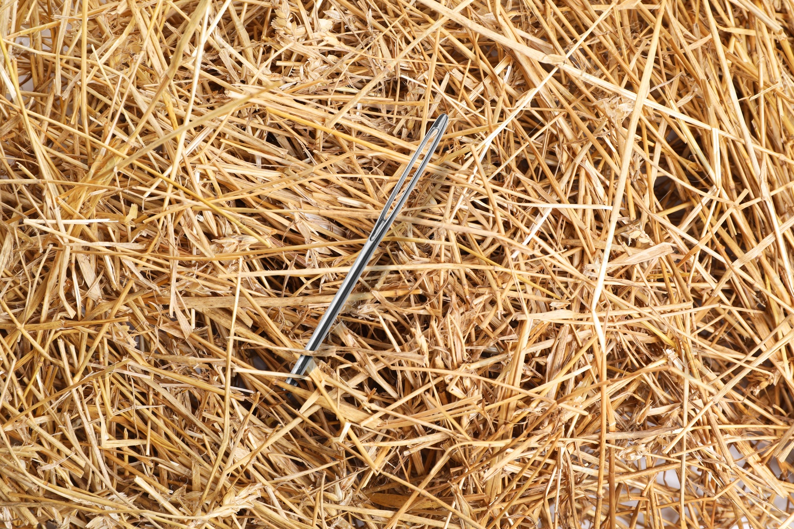 Image of Sewing needle sticking from haystack, closeup view