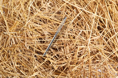 Image of Sewing needle sticking from haystack, closeup view