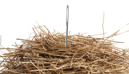 Sewing needle in haystack on white background