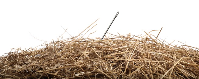 Image of Sewing needle in haystack on white background