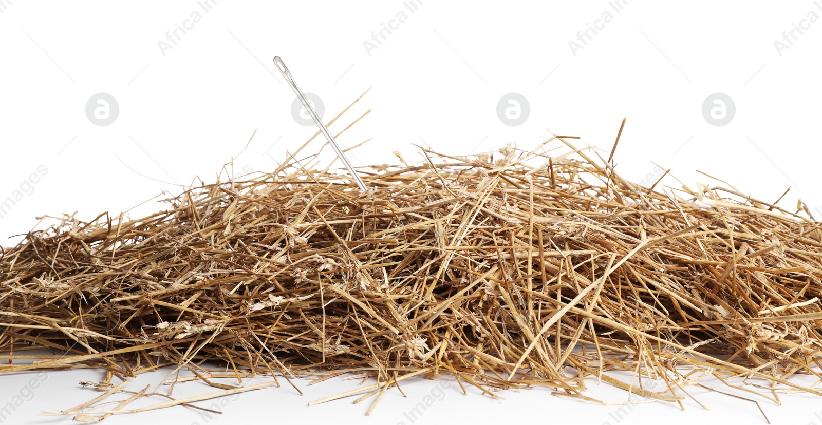 Image of Sewing needle in hay on white background