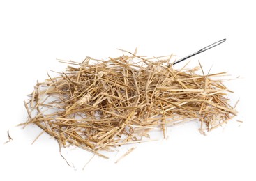 Sewing needle in hay on white background