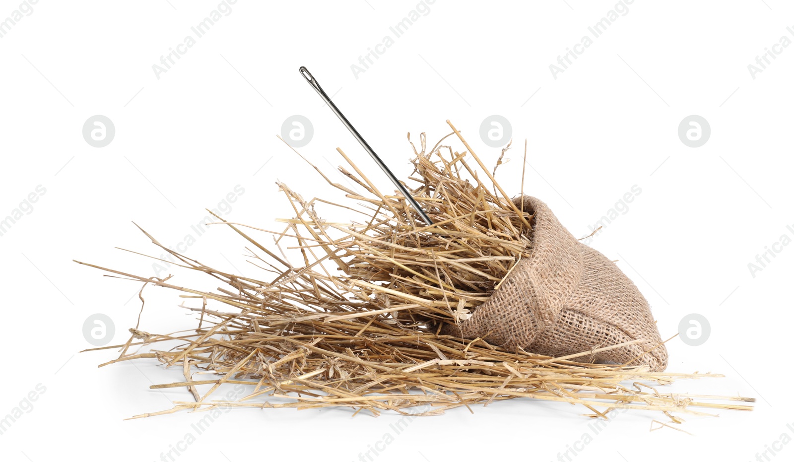 Image of Sewing needle in hay on white background