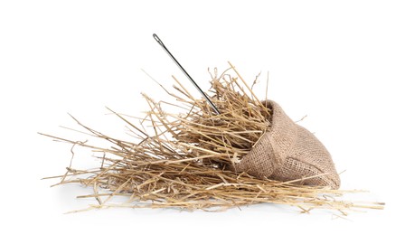 Image of Sewing needle in hay on white background