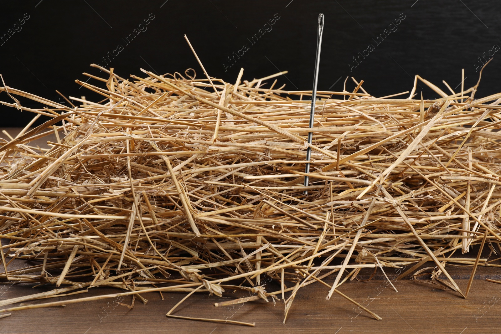 Image of Sewing needle in hay on black background, closeup view