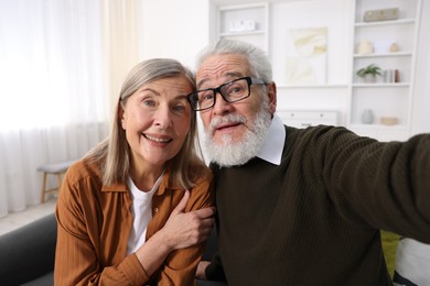 Happy elderly couple taking selfie at home