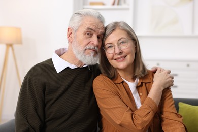 Portrait of happy elderly couple at home